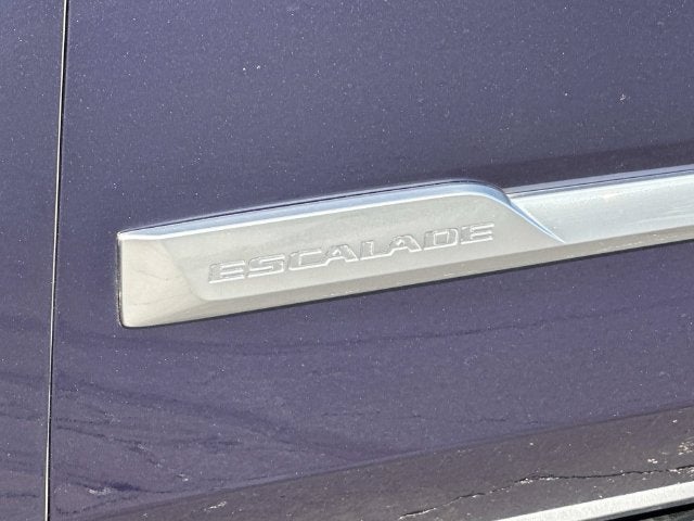 2019 Cadillac Escalade ESV Platinum