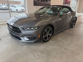 2024 Ford Mustang EcoBoost Premium Convertible